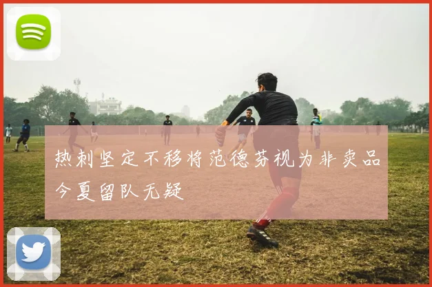 热刺坚定不移将范德芬视为非卖品今夏留队无疑