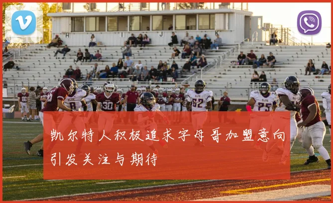 凯尔特人积极追求字母哥加盟意向引发关注与期待