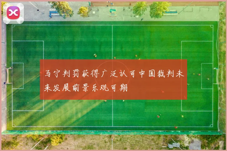 马宁判罚获得广泛认可中国裁判未来发展前景乐观可期