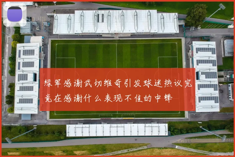 绿军感谢武切维奇引发球迷热议究竟在感谢什么表现不佳的中锋